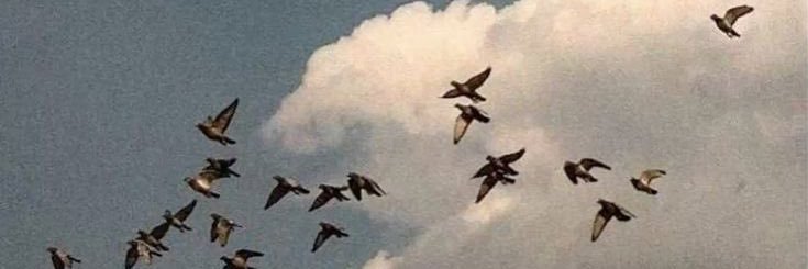 ibt_28's profile banner image