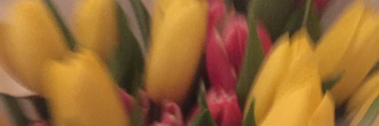 MJelenko's profile banner image