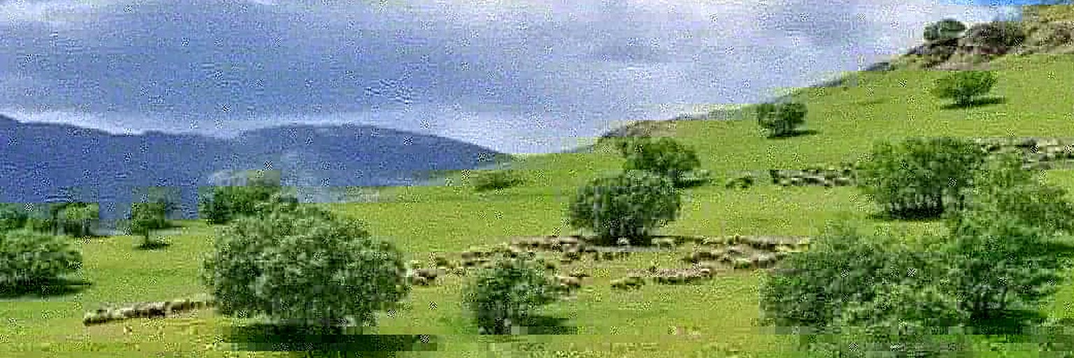 khaksarisultan's profile banner image