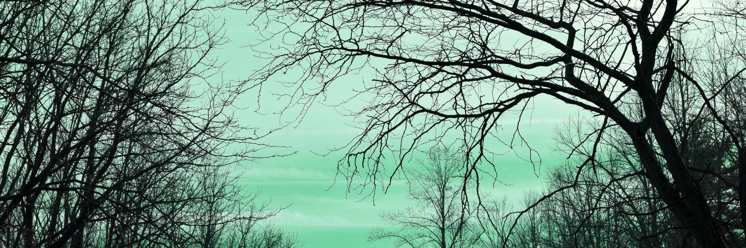 austi_slater's profile banner image