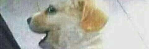 Anyel66's profile banner image