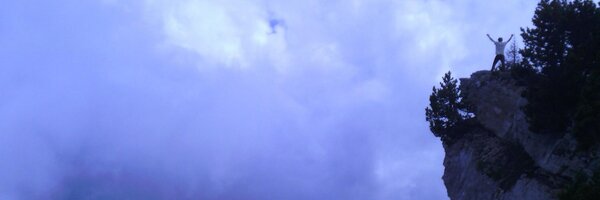 neamar Profile Banner
