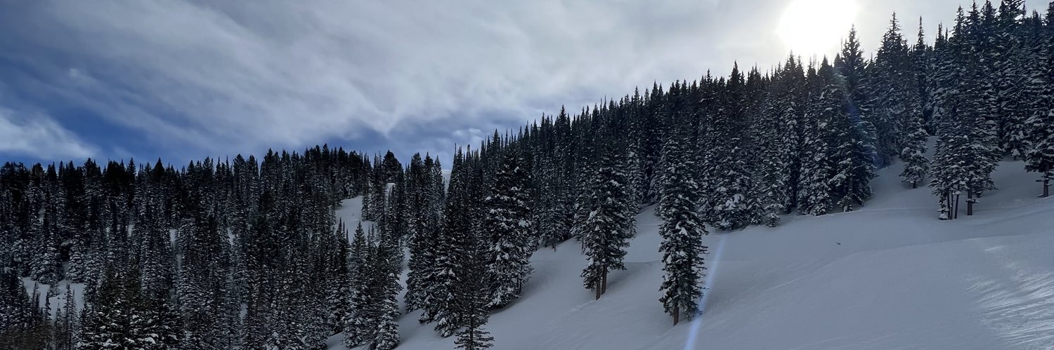 Bailey Rimes banner