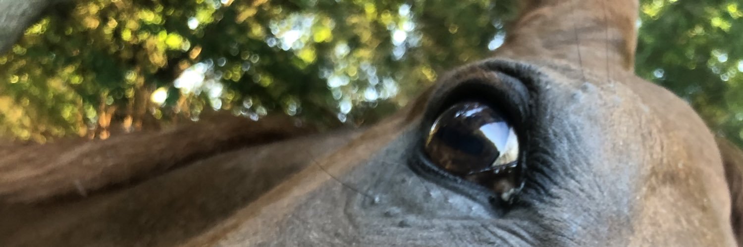 KJLuton's profile banner image