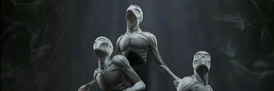 sshormazabal's profile banner image
