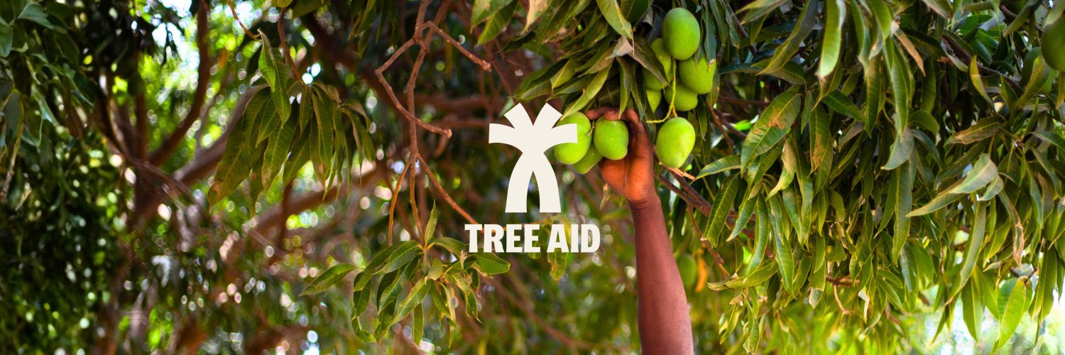 TREEAID's profile banner image