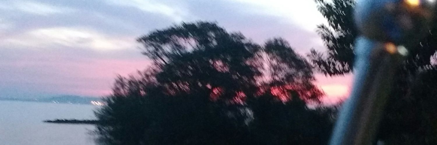 thiagovelasques's profile banner image