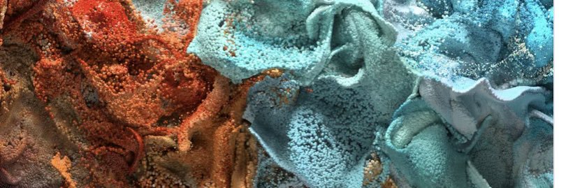 GemmaBNFT's profile banner image