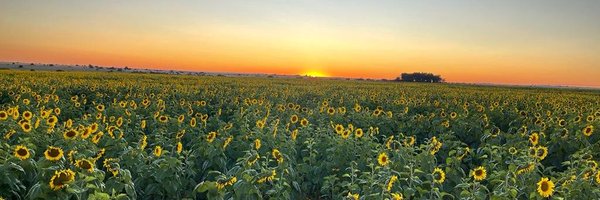 buzwepama Profile Banner