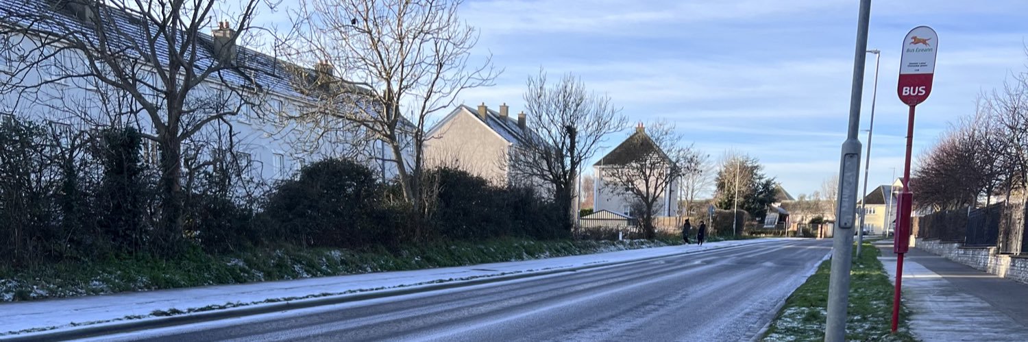 Lika 🤸‍♂️🦩 banner