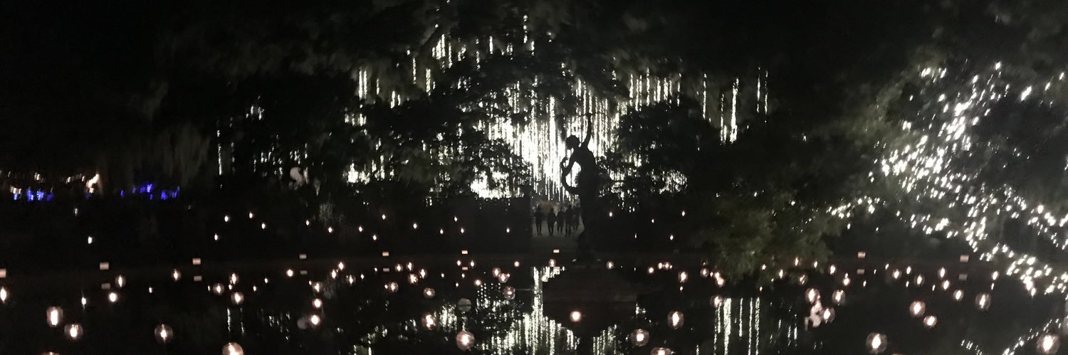 William C. McKinney banner