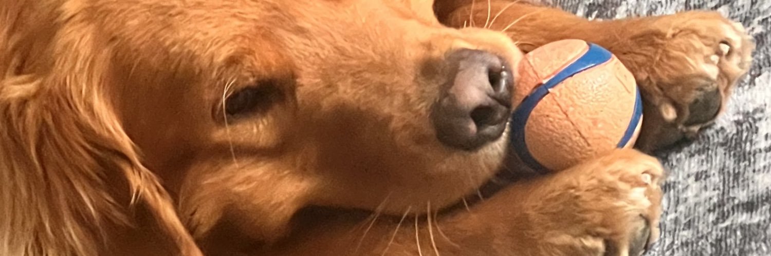 bjhodg banner