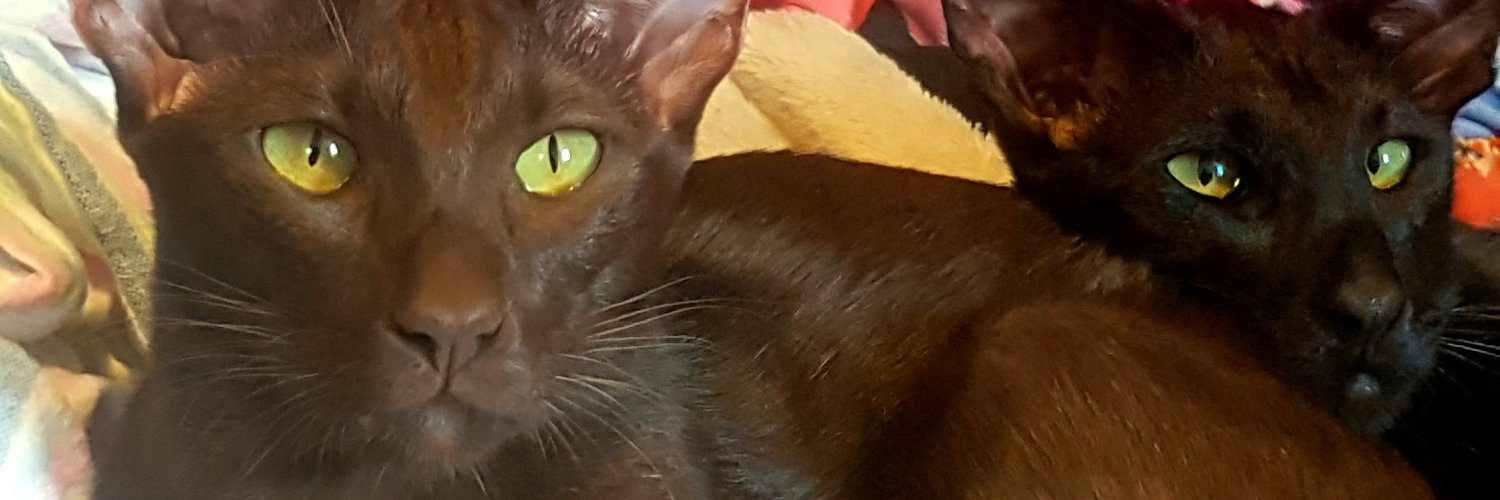 PsycheKick's profile banner image