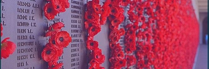 joelrees's profile banner image