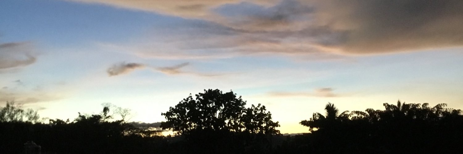 ajbillones's profile banner image
