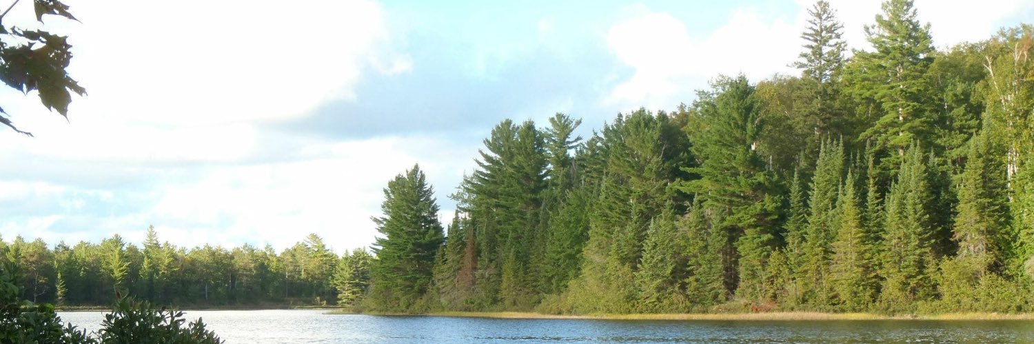 p_thomms's profile banner image