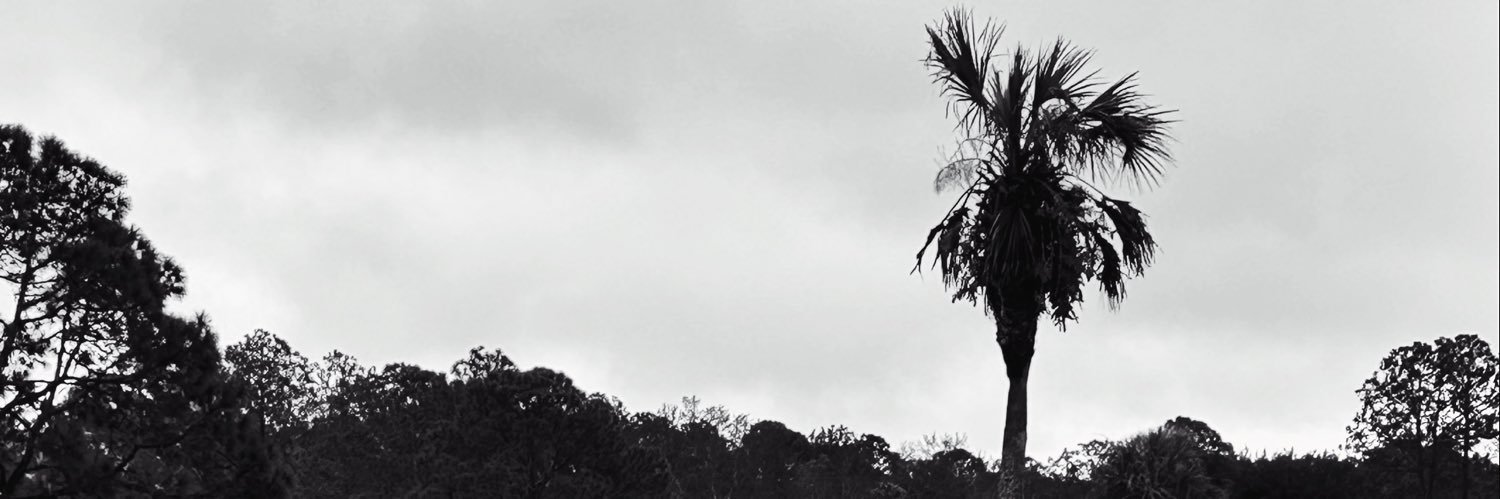 draketail's profile banner image