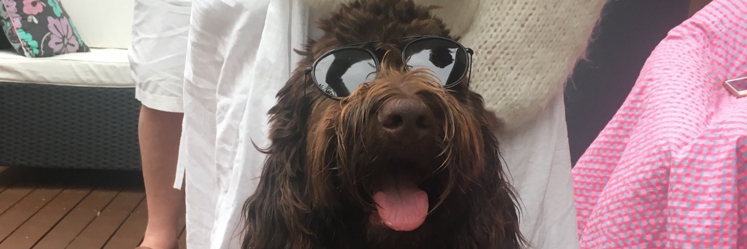 danrobins_'s profile banner image