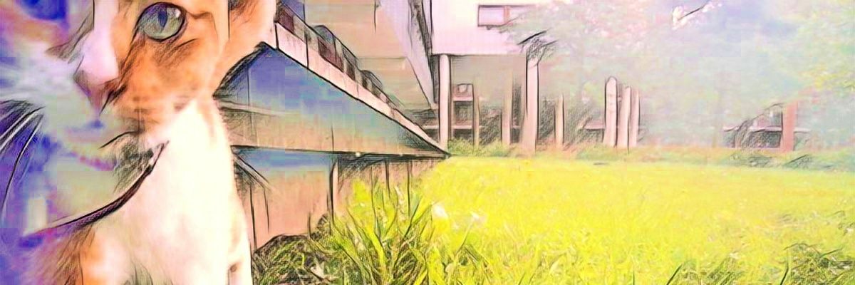 iliDaedalus's profile banner image