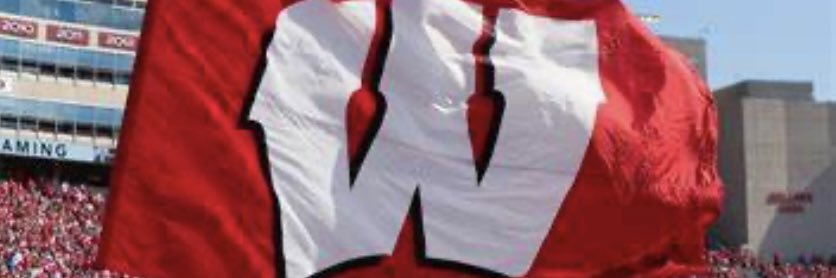 verobadger's profile banner image