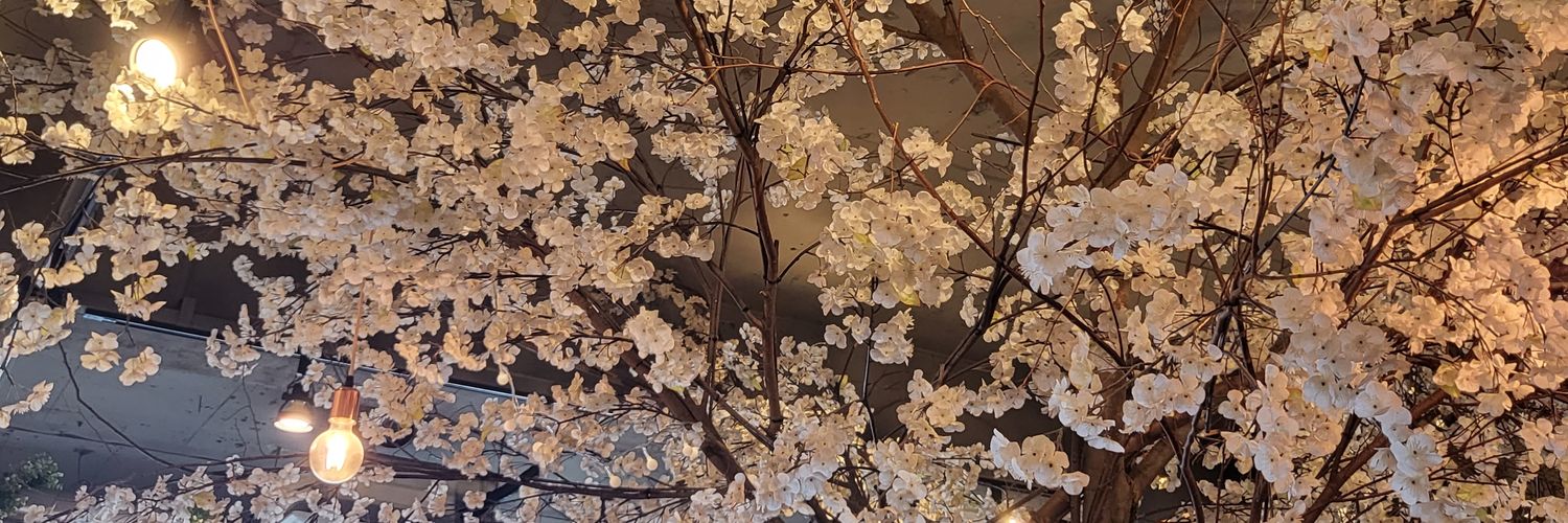 tinamomo3's profile banner image