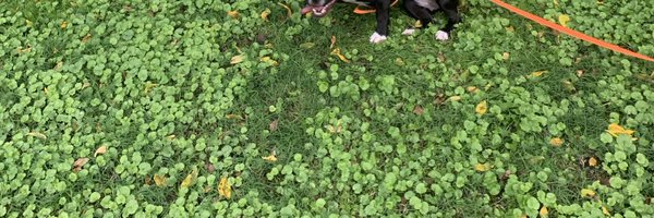 yeselson Profile Banner