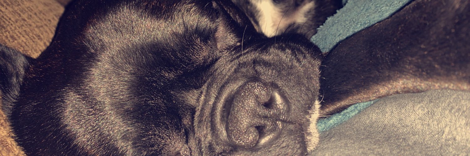 kimmles__'s profile banner image