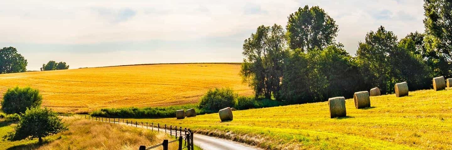 pc_aryal's profile banner image