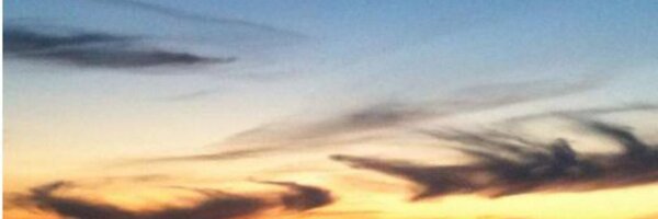 waynerwalsh Profile Banner