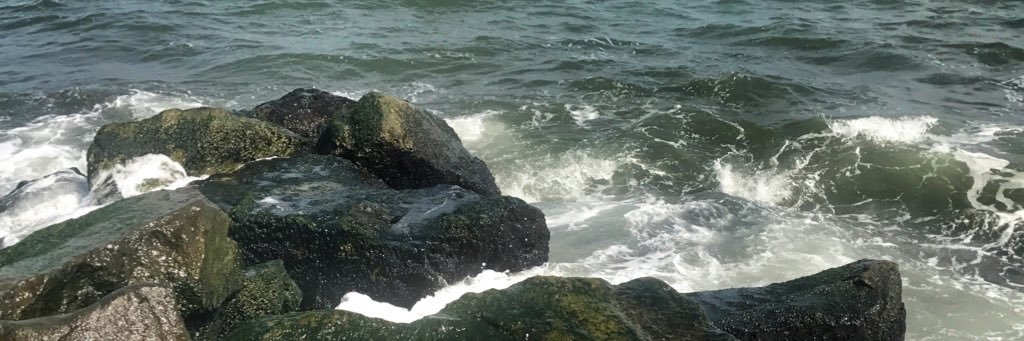 RiptideGarcia's profile banner image