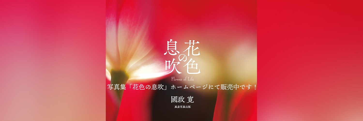 くにまさひろし／クニさん／花マクロ写真家 banner