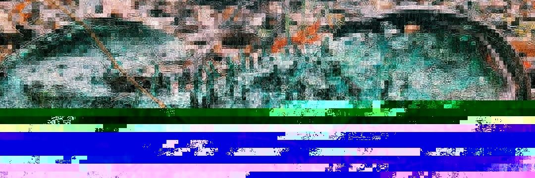 14_brown's profile banner image