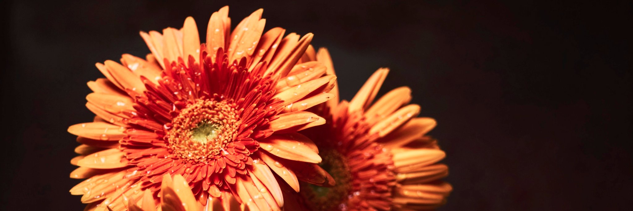 tejzpr's profile banner image