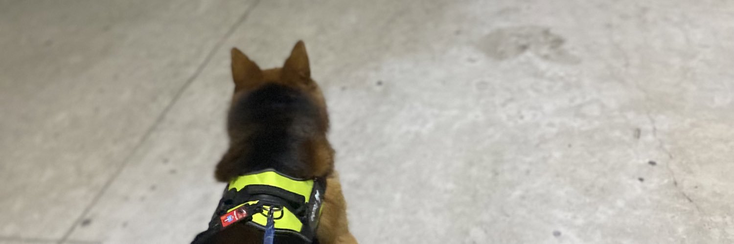 Edward Anthony banner