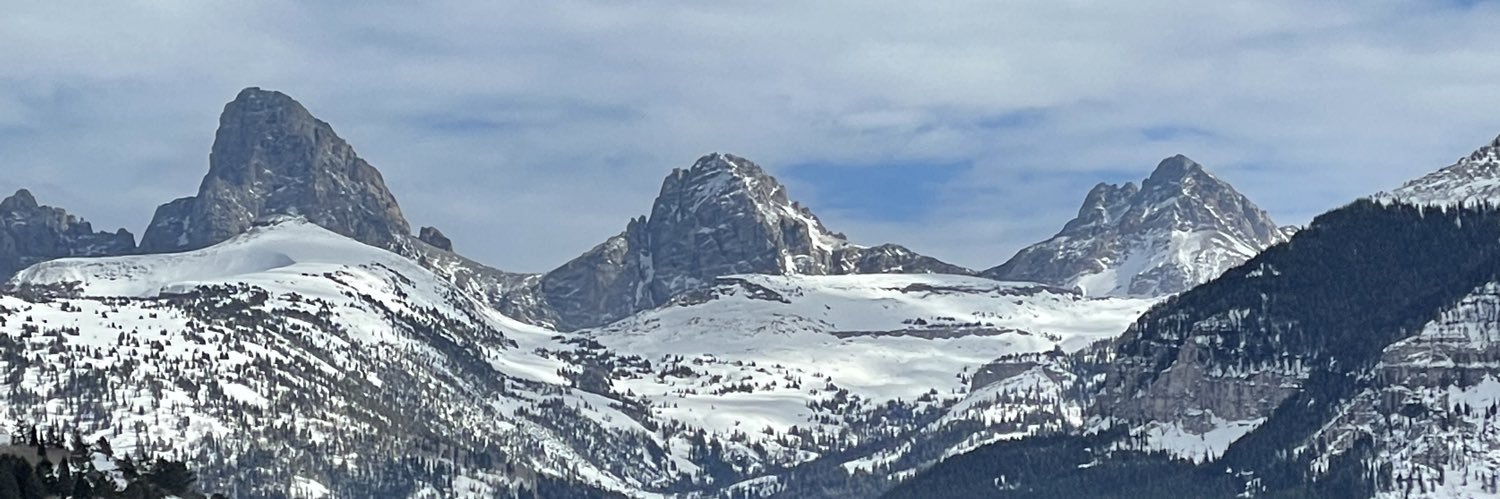 rpetras1's profile banner image