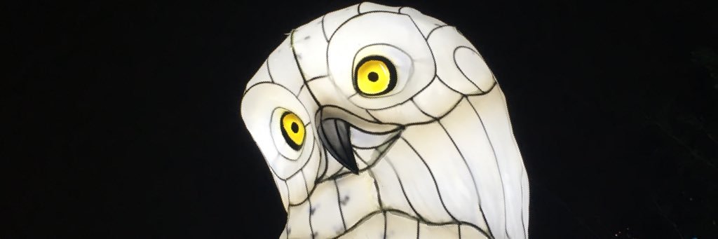 alisonbuggie's profile banner image