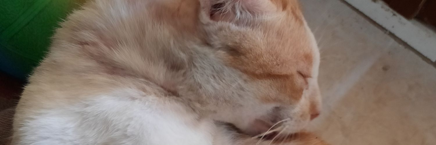 makjedull's profile banner image
