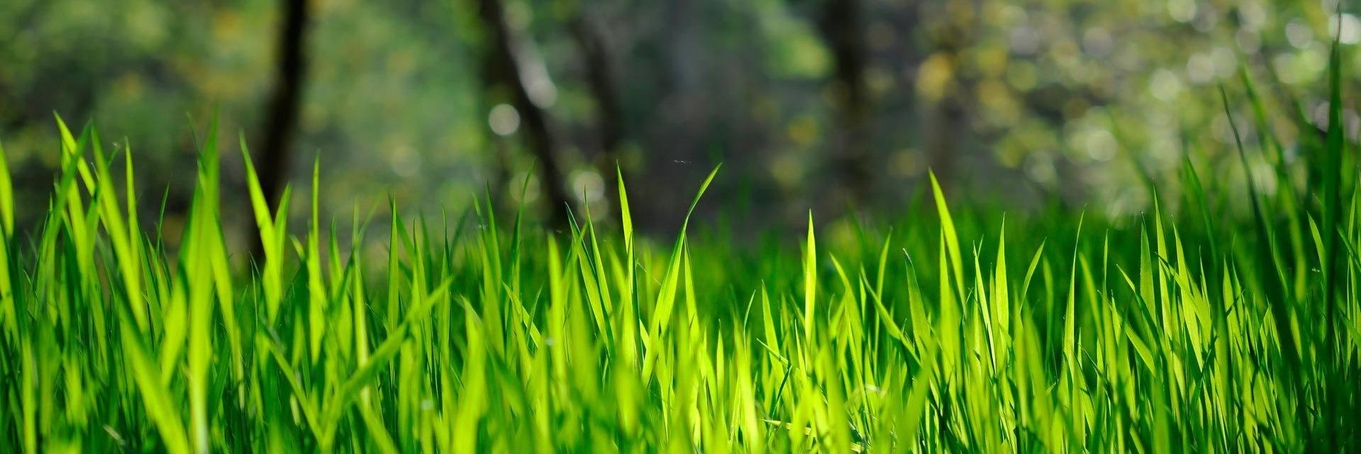 Geauga Public Health banner