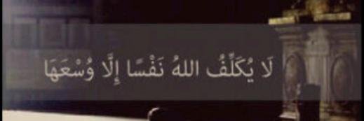 Mostafa Zizo banner