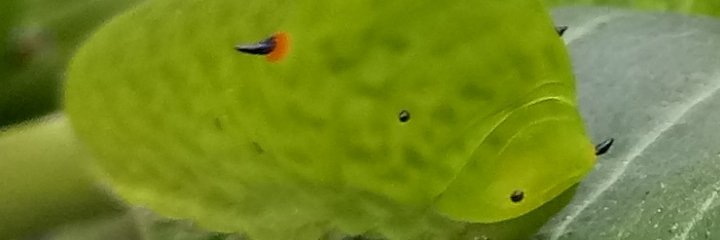 Rashkidjp's profile banner image