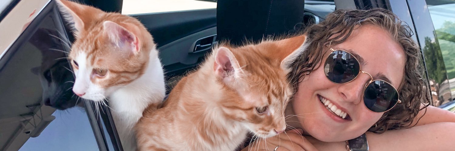 Rose_Reid16's profile banner image