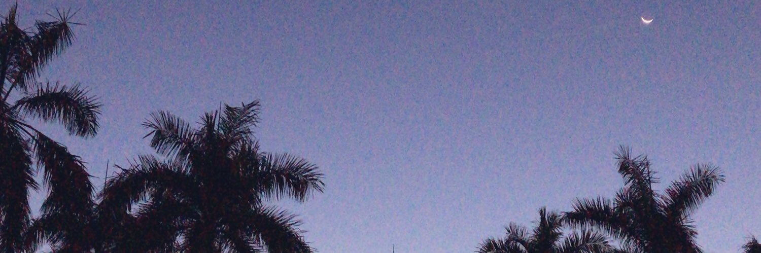 🦋 banner
