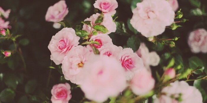 AAHRAERAE's profile banner image