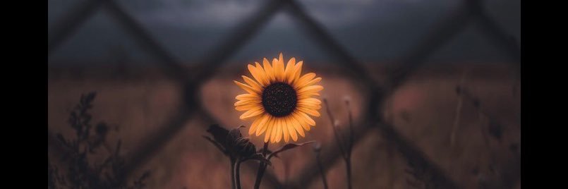 J_TaylorSmith15's profile banner image