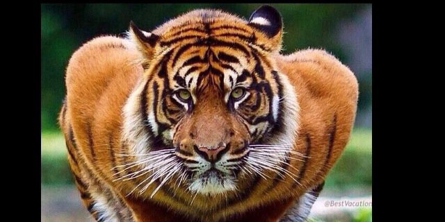 mrmarcusgift's profile banner image