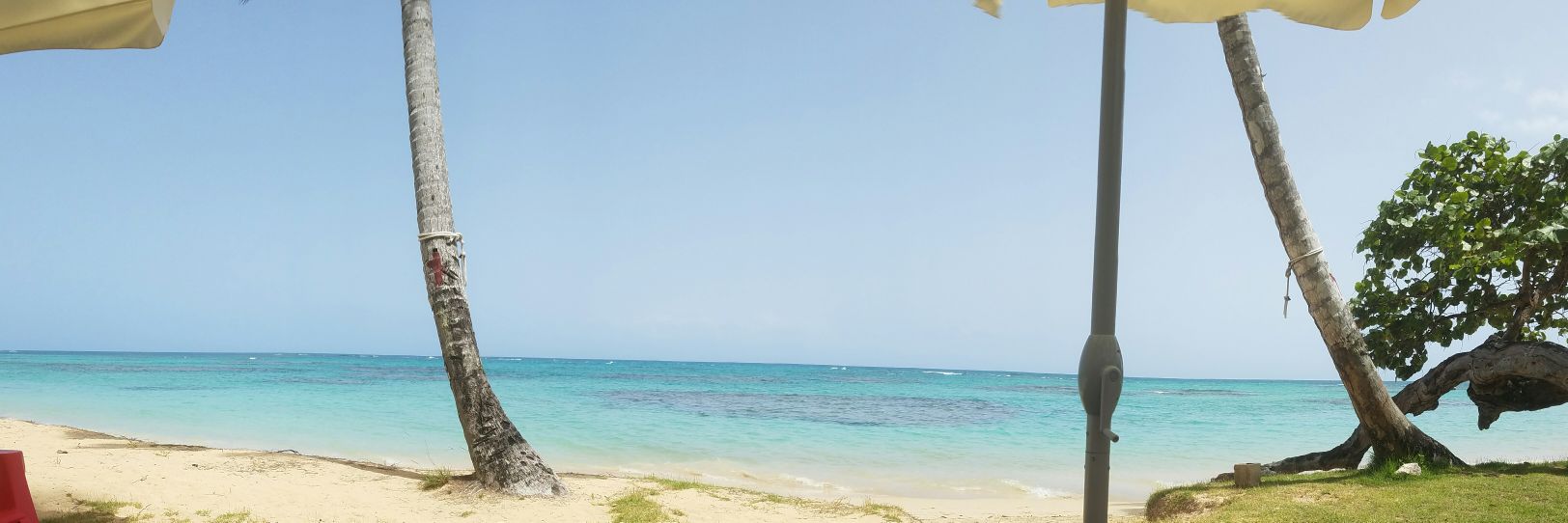 HOPEFUL CITIZEN banner