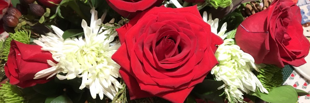 HelenMcBuck's profile banner image