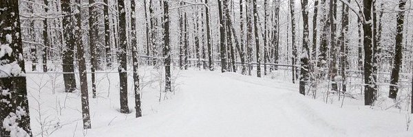 Mélanie Ann Smithman, PhD 🇨🇦 Profile Banner