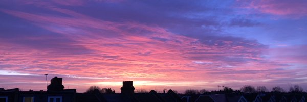 susannah Profile Banner