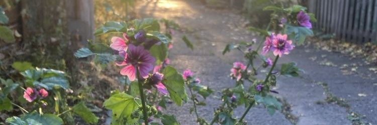 Manuelle Croft banner